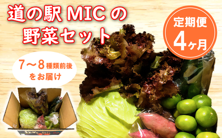 定期便 4回 旬の野菜セット 7-8種類前後 野菜 サラダ 新鮮 葉物 根菜 香味 定番 野菜 愛媛 愛南 野菜 愛南総研 道の駅MIC