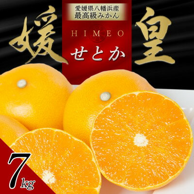 【ふるさと納税】最高級みかん 媛皇 せとか 7kg 愛媛県 八幡浜市 西宇和地区 柑橘の女王【H25-296】【1712707】