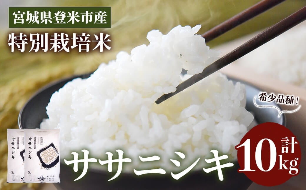
            ≪令和7年産≫ 特別栽培米 ササニシキ 10kg (5kg×2袋)  登米市産 お米 おこめ 米 コメ ささにしき 白米 ご飯 ごはん おにぎり お弁当 【登米ライスサービス株式会社】tm157
          