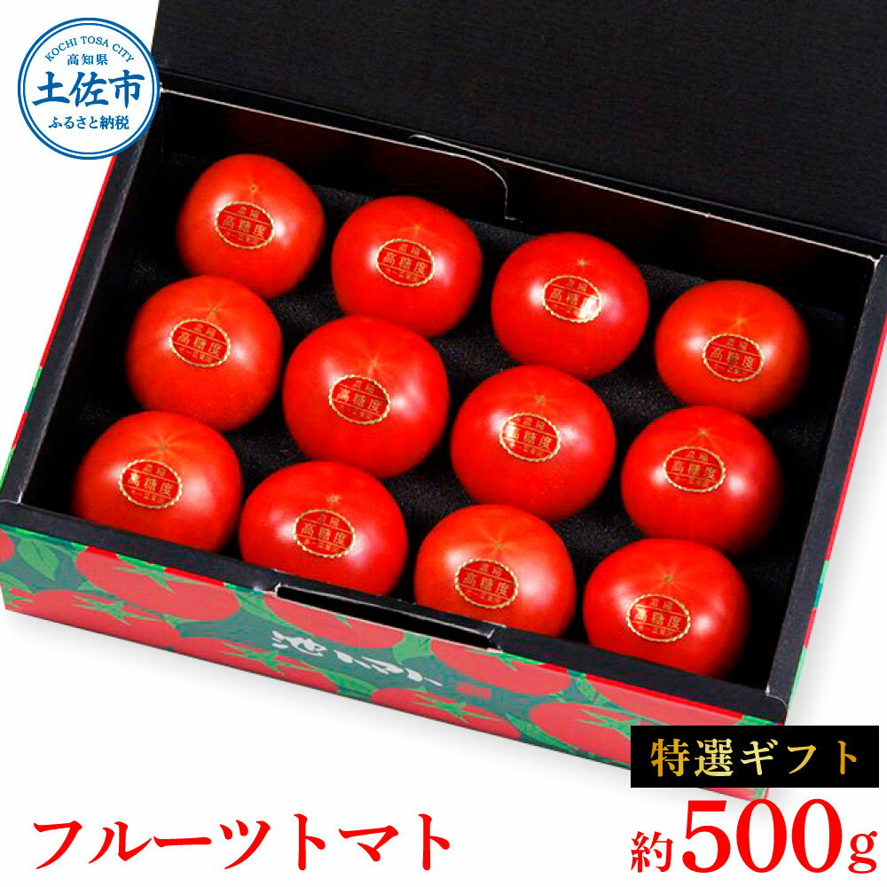 【ふるさと納税】＜2026年1月下旬より発送＞フルーツトマト特選ギフト約500g トマト フルーツトマト 池トマト 糖度10度以上 高糖度 高知県産 産地直送 ギフト 箱入り 贈答用 贈り物 健康 美味しい ふるーつとまと お取り寄せグルメ 故郷納税 10000円 返礼品 土佐市