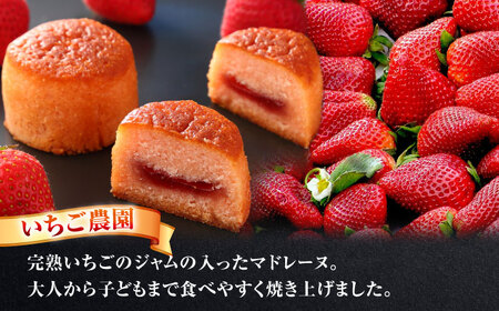 あいさいギフト3 焼菓子 4種9個【配達不可：離島】[AEAU003]
