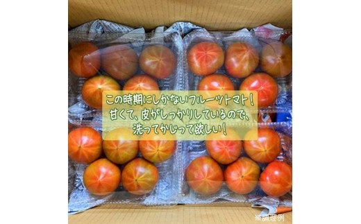 トマト好きにはこれだっぺ！この時期にしかない茨城のフ