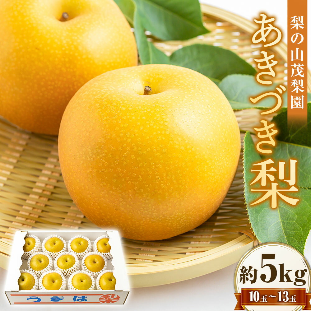 【ふるさと納税】 【先行予約】梨の山茂梨園 あきづき梨 10玉から13玉 （約5kg） 【2026年9月上旬～9月上旬より順次発送予定】 梨 なし ナシ 秋月 あきづき フルーツ 果実 果物 常温 送料無料 福岡県 うきは市