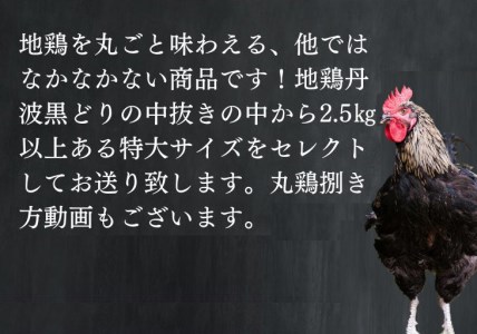 【訳あり 緊急支援】地鶏 丹波黒どり 丸どり 中抜き 丸1羽 約2.5kg＜京都亀岡丹波山本＞業務用 特大サイズ《特別返礼品 鶏肉 丸ごと 1羽 国産鶏 国産鶏肉 京都府産鶏肉 京都産鶏肉 地鶏鶏肉 