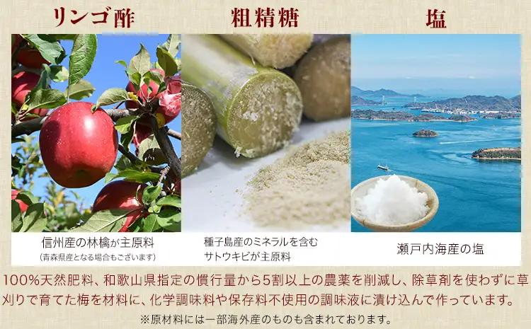 梅干し無添加つぶれ減塩梅干 塩分3% 1kg 500g×2パック