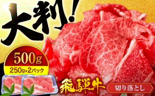＜いろんな料理に使える！＞ 飛騨牛 A5ランク 切り落とし 500g(250g×2)【有限会社マルゴー】国産牛 和牛 霜降り [MBE002]