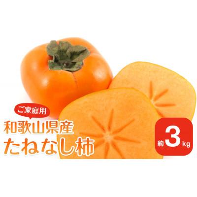 ふるさと納税 九度山町 【2026年10月上旬以降発送】 和歌山県産 平核無柿 【ご家庭用】 約3kg 満杯詰