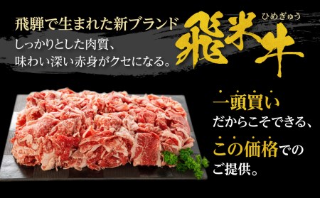 《簡易包装》うまい赤身にこだわった 牛飼いの和牛肉 切り落とし スライス 飛米牛 700g[Q443kh]