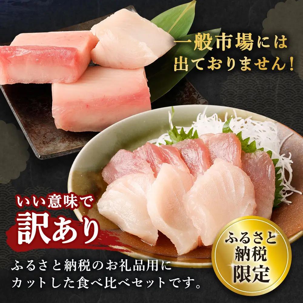 ge014　船元直送！約500gビンチョウマグロ・天然マグロ