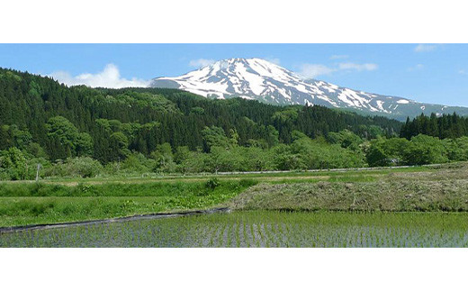 6回定期便【水の郷百選】山形県 鳥海山 氷河水（ひょうがすい） 500ml×24本 天然水 ミネラルウォーター 軟水 F2Y-6303