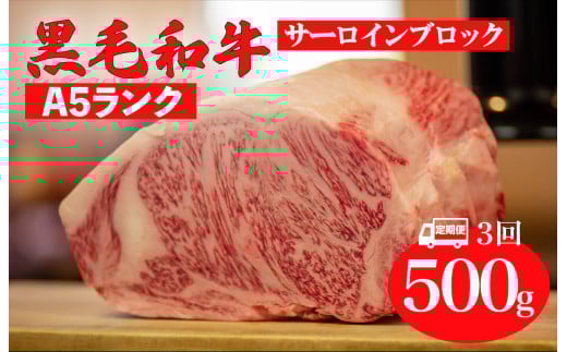 【全3回定期便】黒毛和牛 A5ランク サーロイン ブロック 500g ステーキ用ソース付 サーロイン さーろいん ステーキ ブロック肉 和牛 サーロイン 贈答 ギフト 父の日 お中元