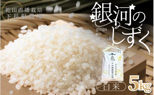 【予約販売】令和8年 平泉町産 銀河のしずく 白米5kg / こめ 乾田直播 コメ 乾田直播栽培米 銀河のしずく 米 お米 おこめ 白米 ご飯 ごはん ライス【sim001】