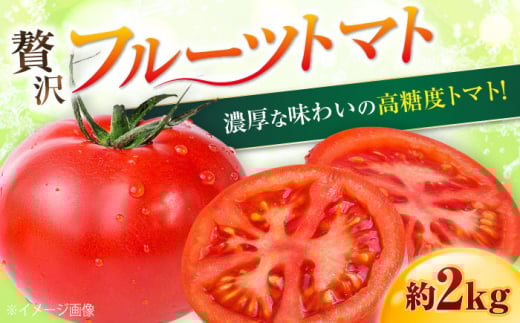 【先行予約】高知県高知市産 贅沢フルーツトマト 約2kg 〈2026年2月から発送〉 / トマト とまと  高知 フルーツ 果物 【片山農園】[ATCI001]