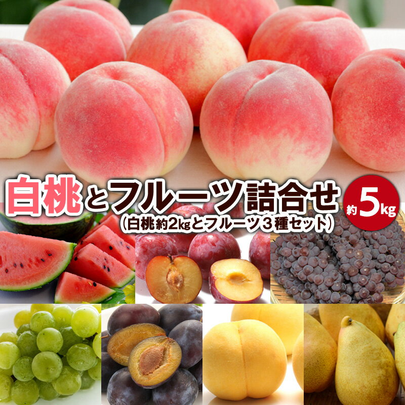 【ふるさと納税】白桃とフルーツ詰合せ 約5kg 【令和7年産先行予約】FS23-801 くだもの 果物 フルーツ 山形 山形県 山形市 2025年産