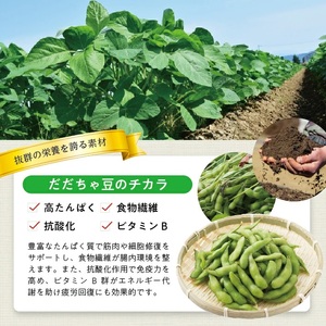 冷凍だだちゃ豆ペースト1.5kg(500g×3袋) 山形県鶴岡産 冷凍便 ※離島発送不可 冷凍 だだちゃ豆 枝豆 野菜 野菜ペースト 離乳食 介護食 小分け ゆざ食彩工房 遊佐町 庄内 東北 [143