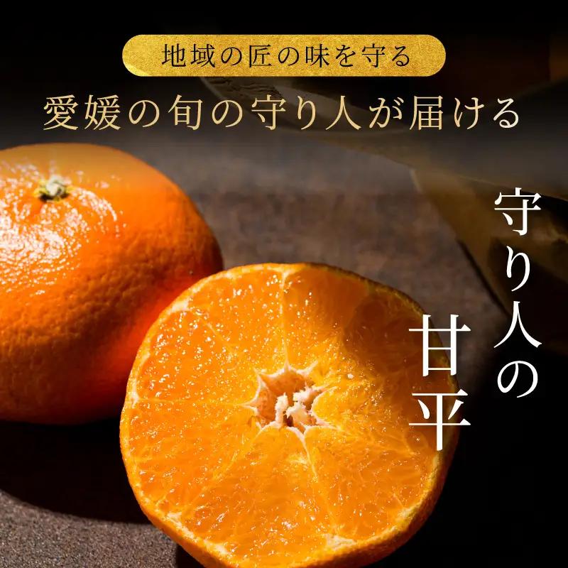 【先行予約】【数量限定】守り人の甘平 3kg（家庭用）