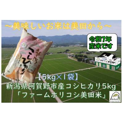 ふるさと納税 阿賀野市 【令和7年産先行受付】阿賀野市産 コシヒカリ 「ファームホリコシ美田米」 5kg 白米 精米