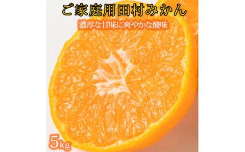 【ご家庭用訳あり】田村みかん　5kg　※2024年11月下旬頃～2025年1月下旬頃に順次発送予定【uot754】