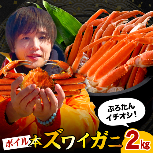 本ズワイガニ6肩～9肩（約2kg）【er018-045-a】