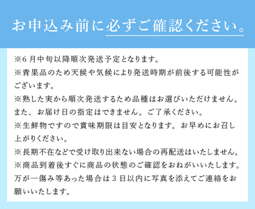 【2024年先行予約】【超大粒】山梨県産（明野産）生果　ブルーベリー1,000g