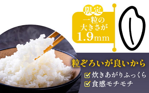 こめたらぎ レンジアップ ごはん150g×6パック