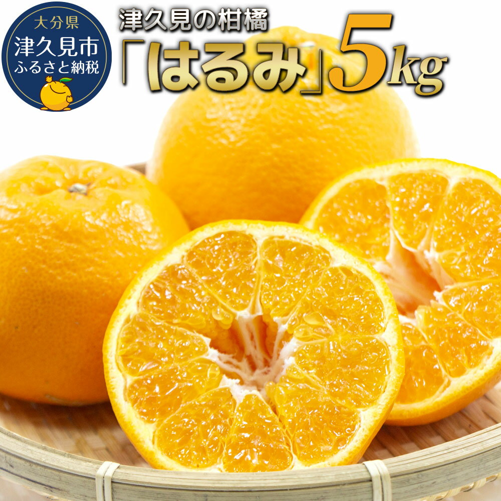 【ふるさと納税】【先行予約】津久見のみかん はるみ 5kg ミカン 蜜柑 オレンジ 果実 旬のフルーツ 大分県産 九州産 津久見市 国産 送料無料【2026年2月10日~2026年2月28日まで順次出荷】