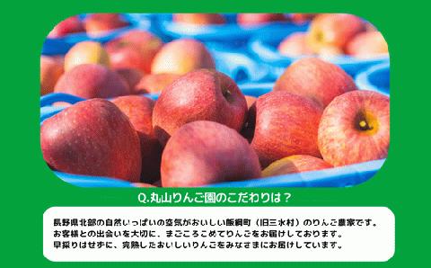 りんご サンふじ 家庭用 5kg 丸山りんご園 沖縄県への配送不可 2024年12月上旬頃から12月下旬頃まで順次発送予定 令和6年度収穫分 長野県 飯綱町 [0710]