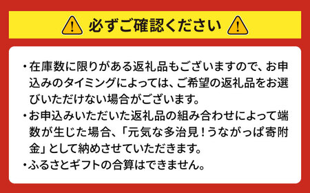 【あとから選べる】 岐阜県多治見市ふるさとギフト 300万円分  飛騨牛 日本酒 スイーツ 美濃焼 あとから ギフト[TDA041]