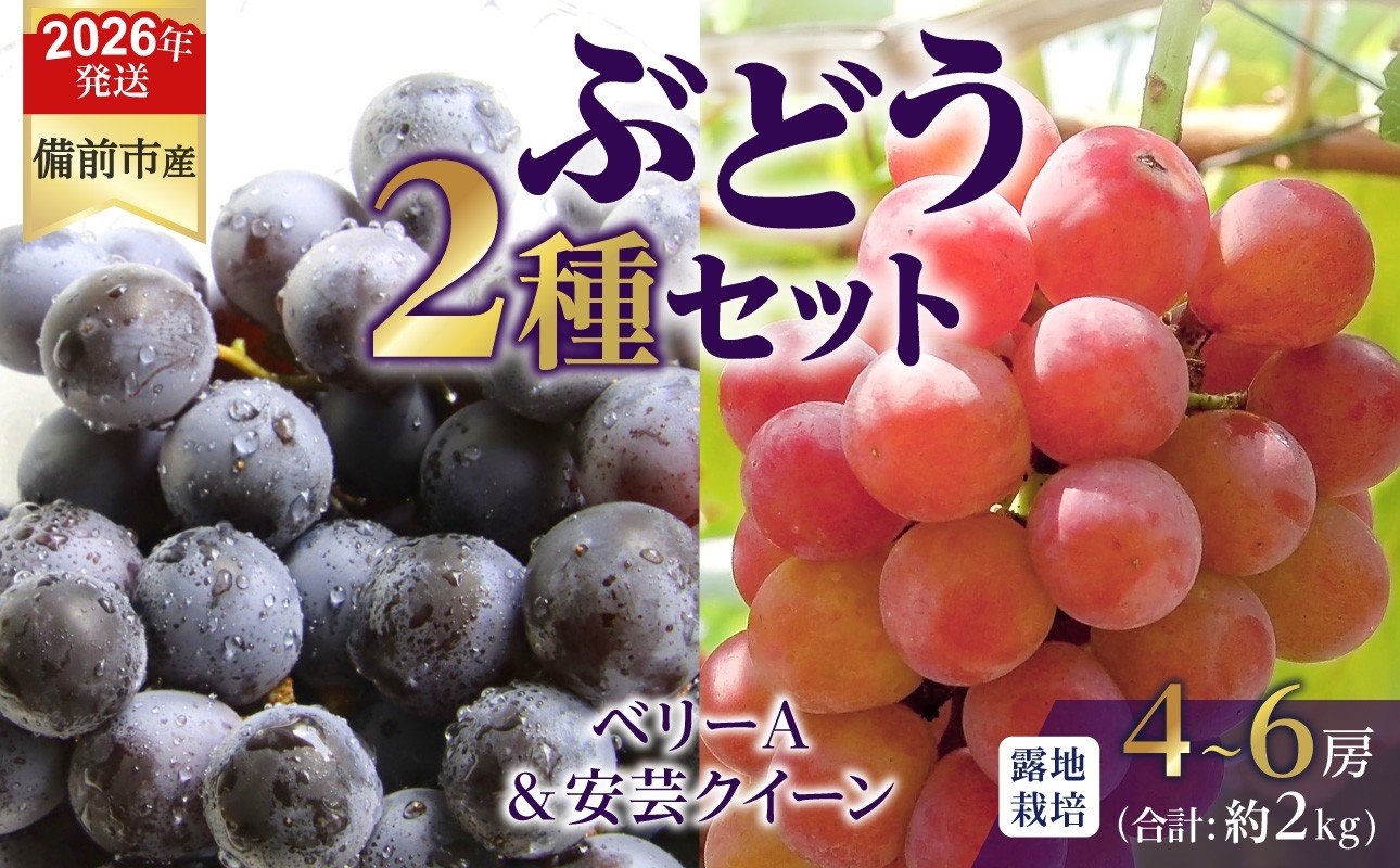 
            【2026年発送分　先行受付開始！】びぜん葡萄「ベリーA」「安芸クイーン」2種セット（露地栽培）約2kg（令和8年9月上旬～9月中旬頃発送）【 岡山県備前市産 ベリーＡ 安芸クイーン 露地栽培 約2kg 樹上完熟 】
          