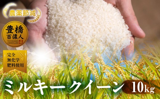 【1回お届け】令和7年産 ミルキークイーン 10kg 白米 ブランド米 ミルキー ﾐﾙｷｰｸｲｰﾝ お米 こめ 米 ※ コメ ご飯 生活必需品 日用品 人気 美味しい 取り寄せ 送料無料 愛知県 豊橋市