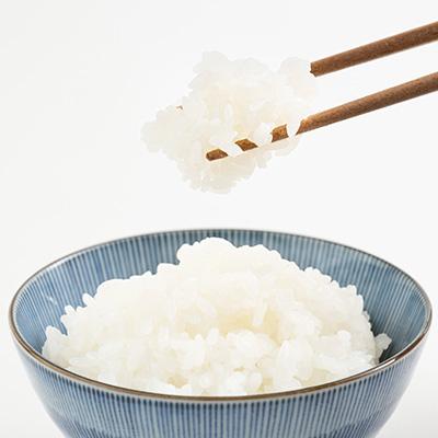 ふるさと納税 菊池市 【熊本県産】 七城のお米 にこまる 5kg　米食味分析鑑定コンクール金賞受賞 |  | 02