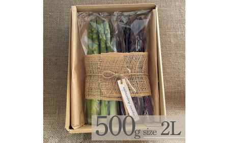 アスパラガス オーガニック パープル＆グリーンアスパラガス ハーフセット 2L 500g 【先行予約】
