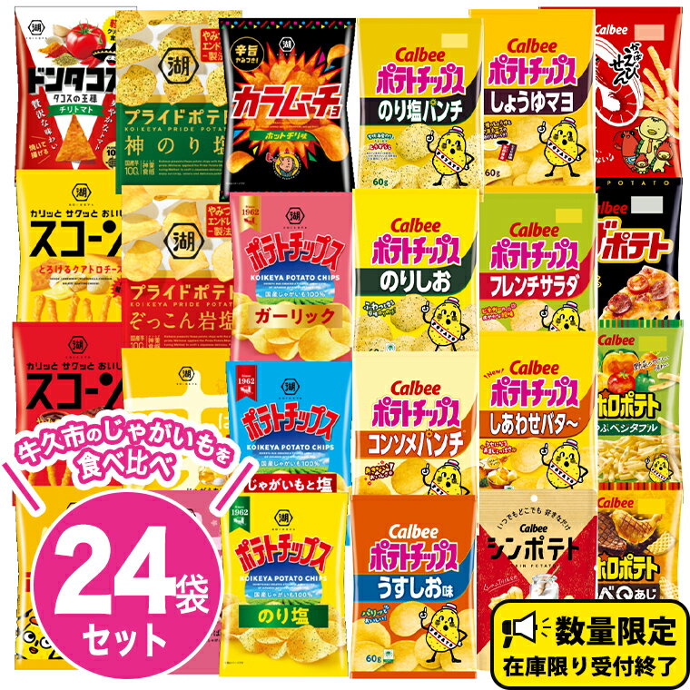 【ふるさと納税】＼選べる配送方法／ カルビー 湖池屋 人気 詰め合わせ お楽しみ スナック菓子 セット 単品24袋 定期便 3 ・ 6か月 ポテトチップス ポテチ お菓子 おかし 大量 Calbee ポテト じゃがいも 頒布会 数量限定
