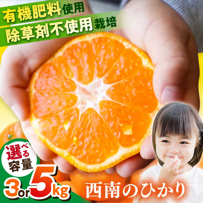 【ふるさと納税】【先行予約】【選べる容量！】 西南のひかり 約3kg / 約5kg みかん オレンジ ポンカン 品種 神奈川 蜜柑 ミカン 柑橘 フルーツ 有機肥料使用 除草剤不使用栽培 横須賀【志村農園】[AKGH005]
