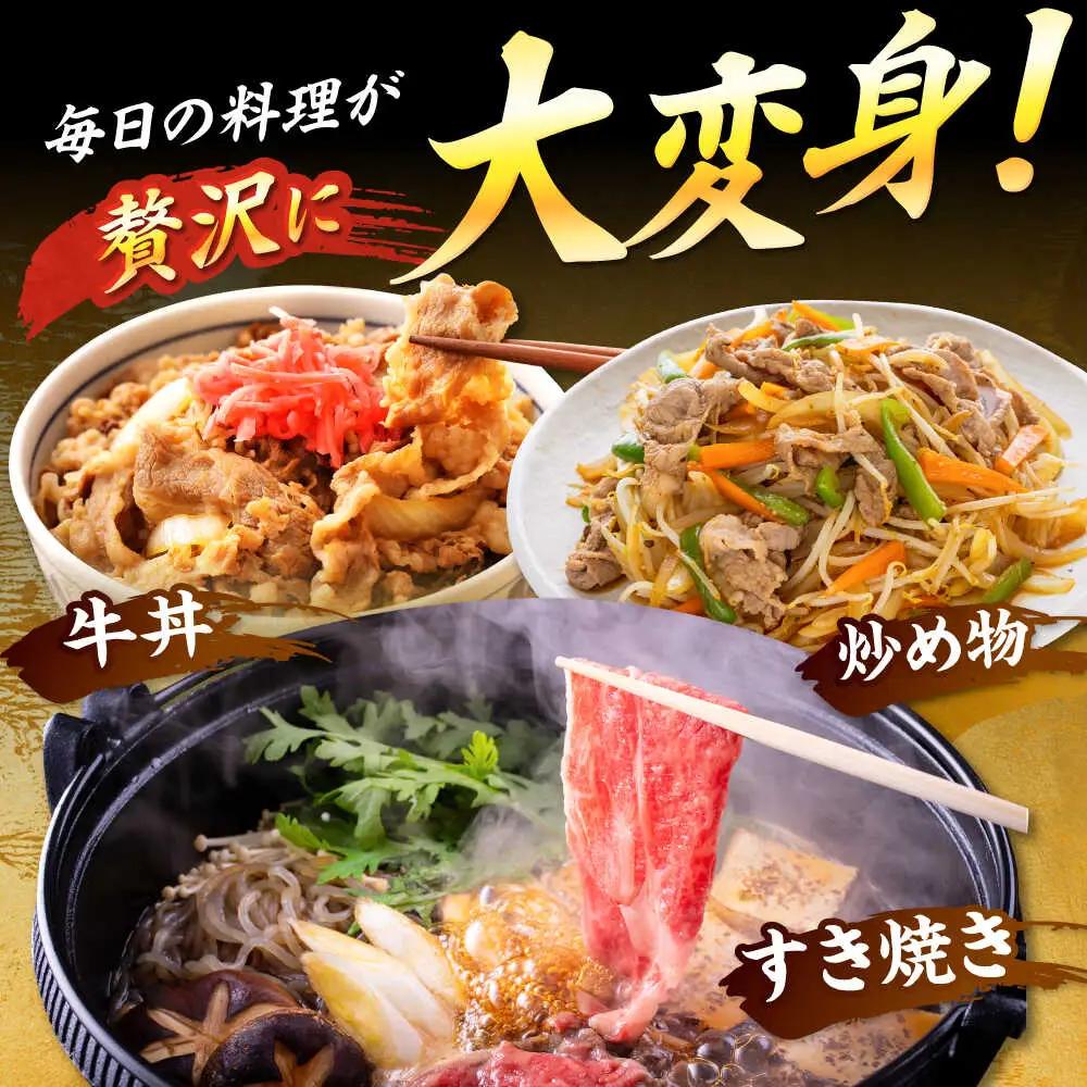 【A4-A5】博多和牛 大判霜降り 贅沢切り落とし 750g (250g×3P) [BGAB110]