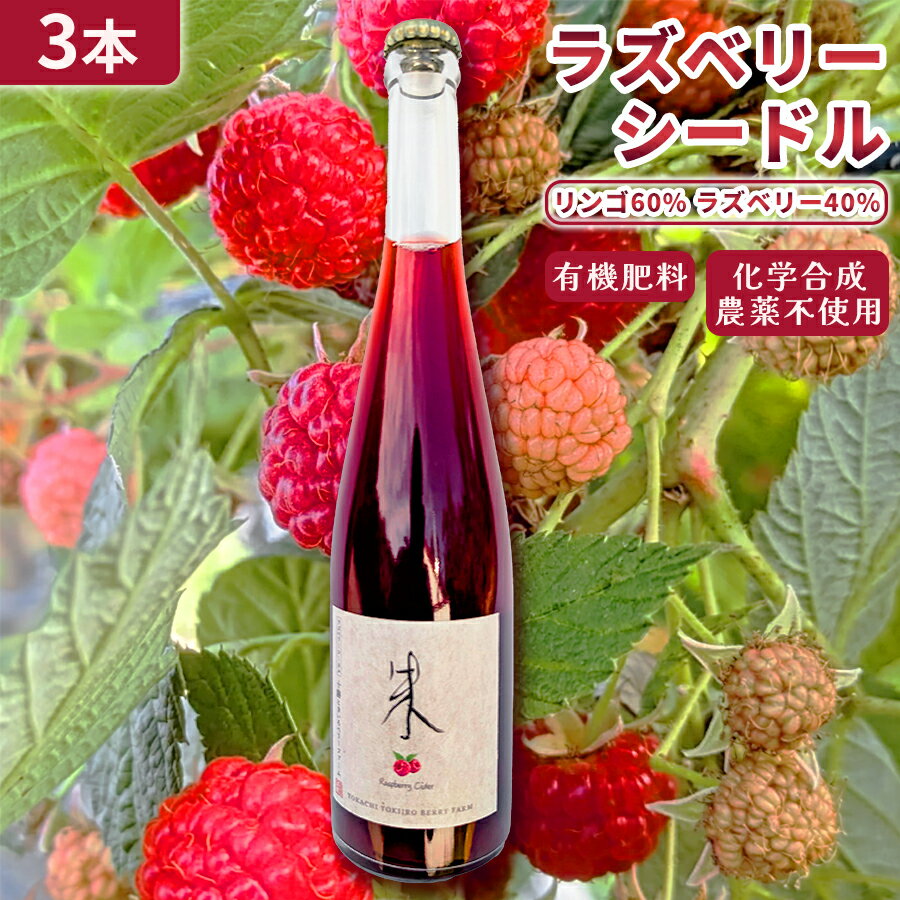 【ふるさと納税】【北海道産 ラズベリー りんご】ラズベリーシードル 3本 北海道 余市町 送料無料