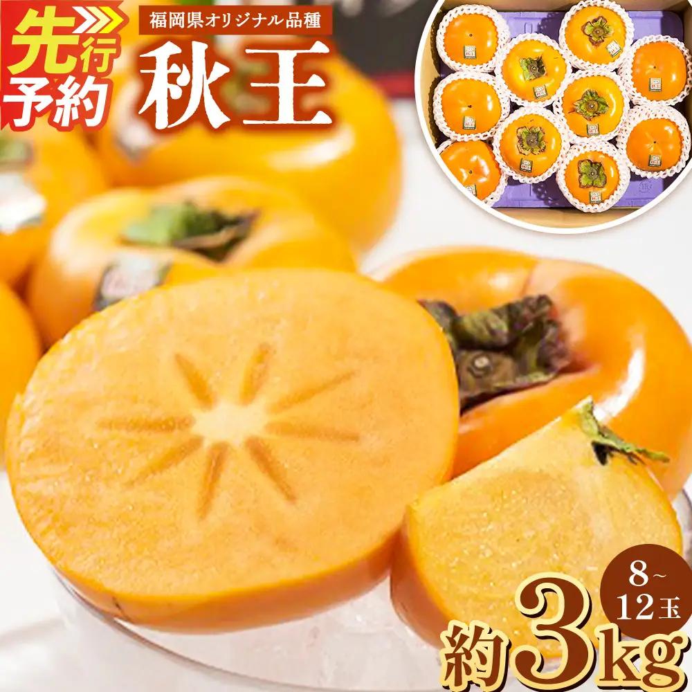 C21 福岡県産 ブランド柿・秋王 約3kg（8～12玉）  【2026年10月下旬-11月下旬発送予定】 柿 甘柿 秋王 果物 くだもの フルーツ