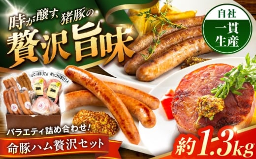 ハム 『ハム贅沢セット』 豚肉 ポークステーキ ソーセージ ハム ステーキ すてーき はむ そーせーじ はんばーぐ ロース ブロック Ham Steak Sausage Hamburg 豚にく ぶたにく 豚 肉 にく お肉 おにく 焼肉 焼き肉 BBQ バーベキュー 詰め合わせ お取り寄せ 国産 ギフト 冷凍 沖縄市 / DELICATESSEN NUCHIBUTA[BCAR007]
