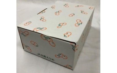 【 柑橘寒づくりゼリー】いよかん ゼリー 12個 セット おやつ お子様 子ども【JZE002_x】
