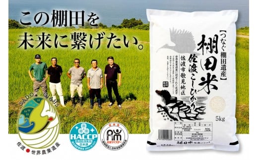 
            米 コシヒカリ 佐渡産 ( 5kg ) 棚田米 佐渡市歌見地区【令和7年米】
          