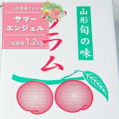 ふるさと納税 上山市 すもも(サマーエンジェル)1.2kg　ご家庭用　0012-2505