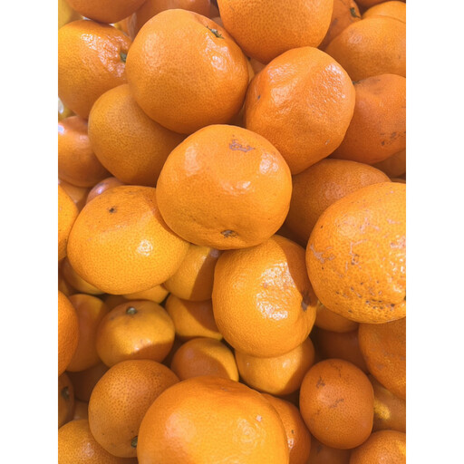 家庭用 大粒有田みかん 5kg (約35個～40個)