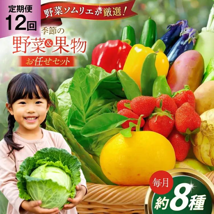 野菜 果物 セット 安心の地元野菜と果物のお任せセット 定期便 12回 [ひらど新鮮市場 長崎県 平戸市 hr42bgy400146]