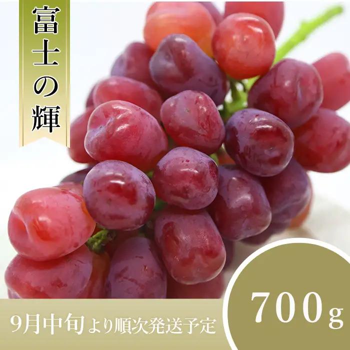 ブドウ「 富士の輝 ( ふじのかがやき ) 」700g 1房 ブラックシャインマスカット