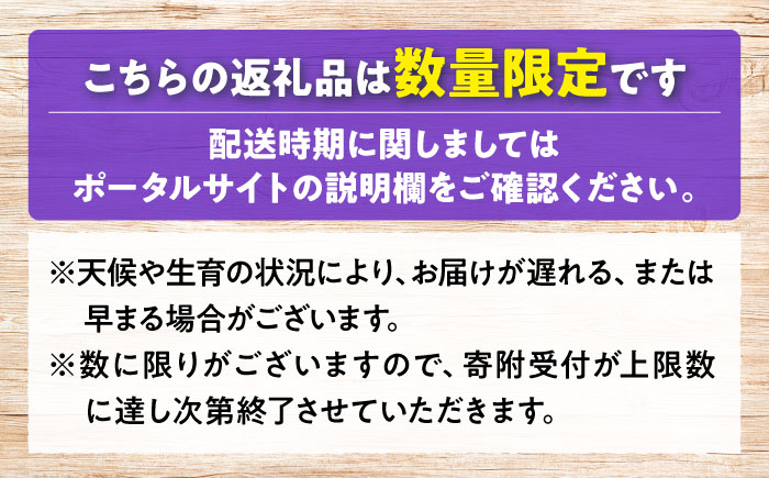 【先行予約】【10月上旬から順次発送】贈答用 シャインマスカット 約1.2kg（2房） ぶどう ブドウ 葡萄 シャイン マスカット 三次市 / 辰巳農園 [APCR003]