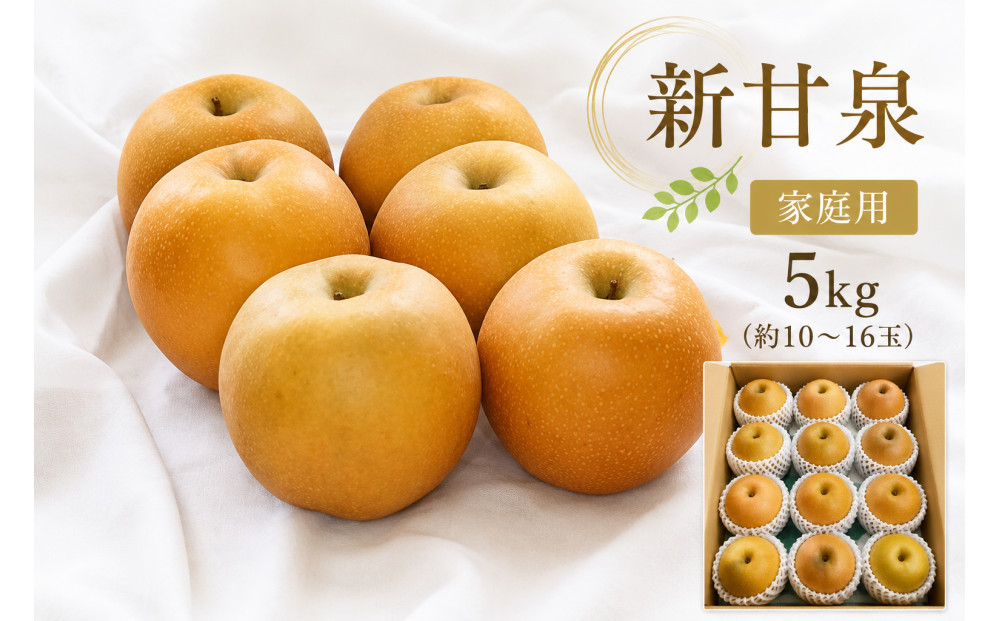 【2026年度先行予約】数量限定　鳥取県産　新甘泉 家庭用 5kg(約10〜16玉)【8月20日以降発送】 313726_DE002