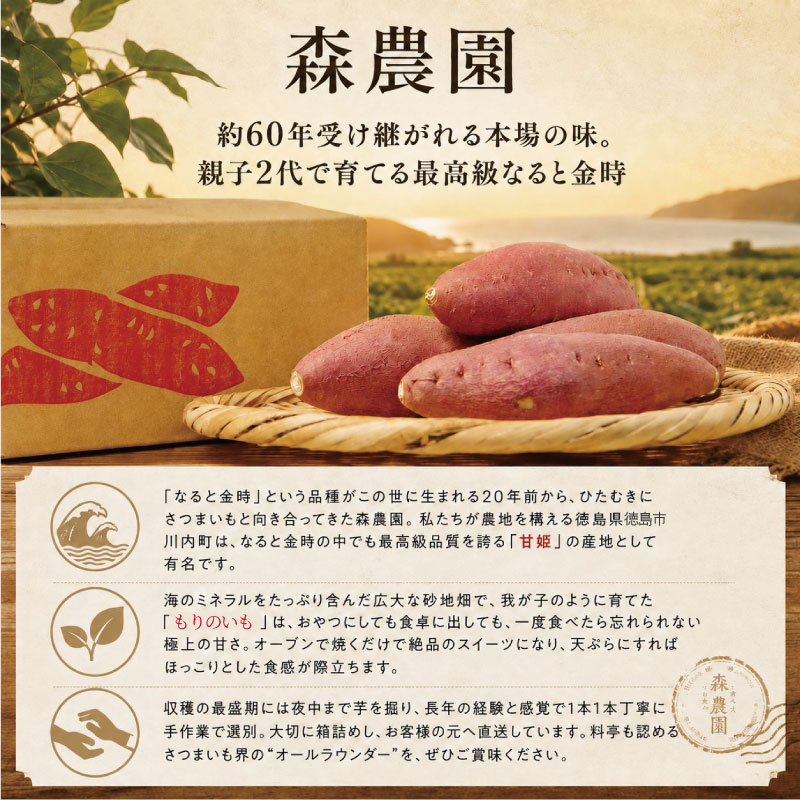 鳴門金時 3kg 【8月中旬発送】 秀品 Mサイズ なると金時 さつま芋 サツマイモ  甘い 焼き芋 産地直送 ほくほく お歳暮 さつまいも 贈答用 秀品 熟成芋 野菜 おやつ 芋 いも イモ 金時 