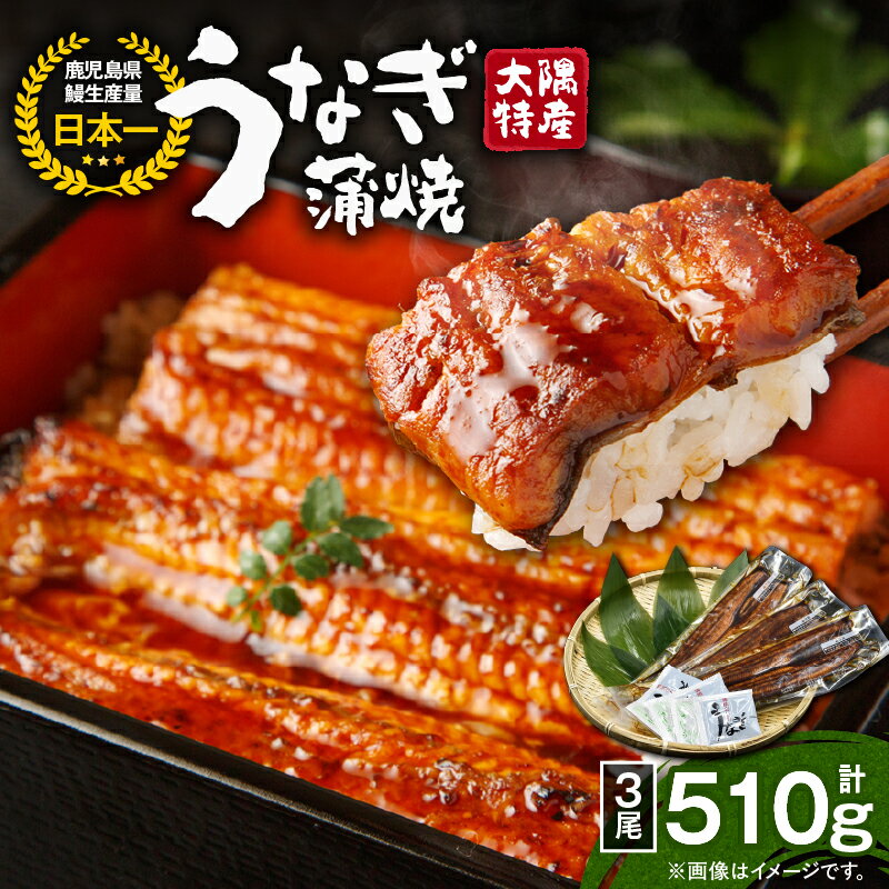 【ふるさと納税】【年内配送12月8日入金まで】 ＜国産＞ 大隅特産うなぎ蒲焼(3尾・計510g)たれ・山椒付き！湯煎または電子レンジで温めるだけでうなぎ本来の美味しさを味わえます！【株式会社寺園商店】