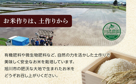 令和7年産　ゆめぴりか 無洗米 真空パック 5kg×2袋 10kg | ゆめぴりか_05241