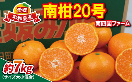 温州みかん 南柑20号 7kg 大小混合 サイズ ミックス 南四国ファーム 甘い コク ジューシー 愛媛みかん 温州 みかん ミカン mikan 愛媛蜜柑 愛媛ミカン 宇和島みかん 人気みかん 果物 くだもの フルーツ 柑橘 蜜柑 産地直送 数量限定 国産 愛媛 宇和島 B011-035010